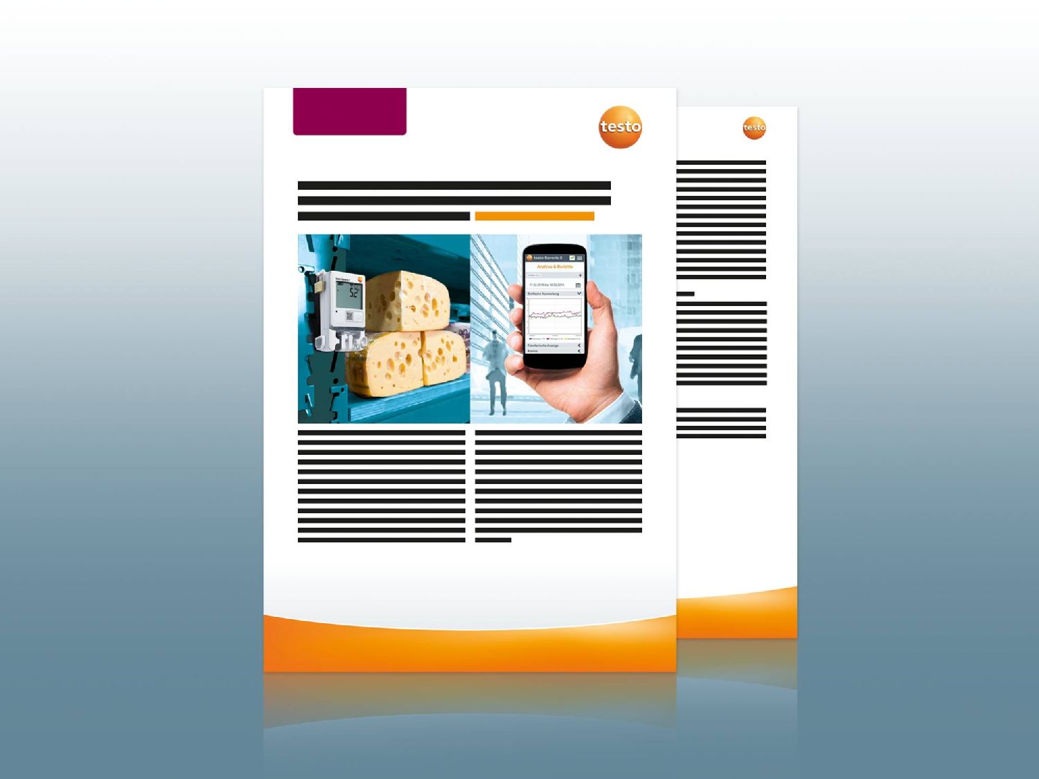 Example application monitoring temperature of foods