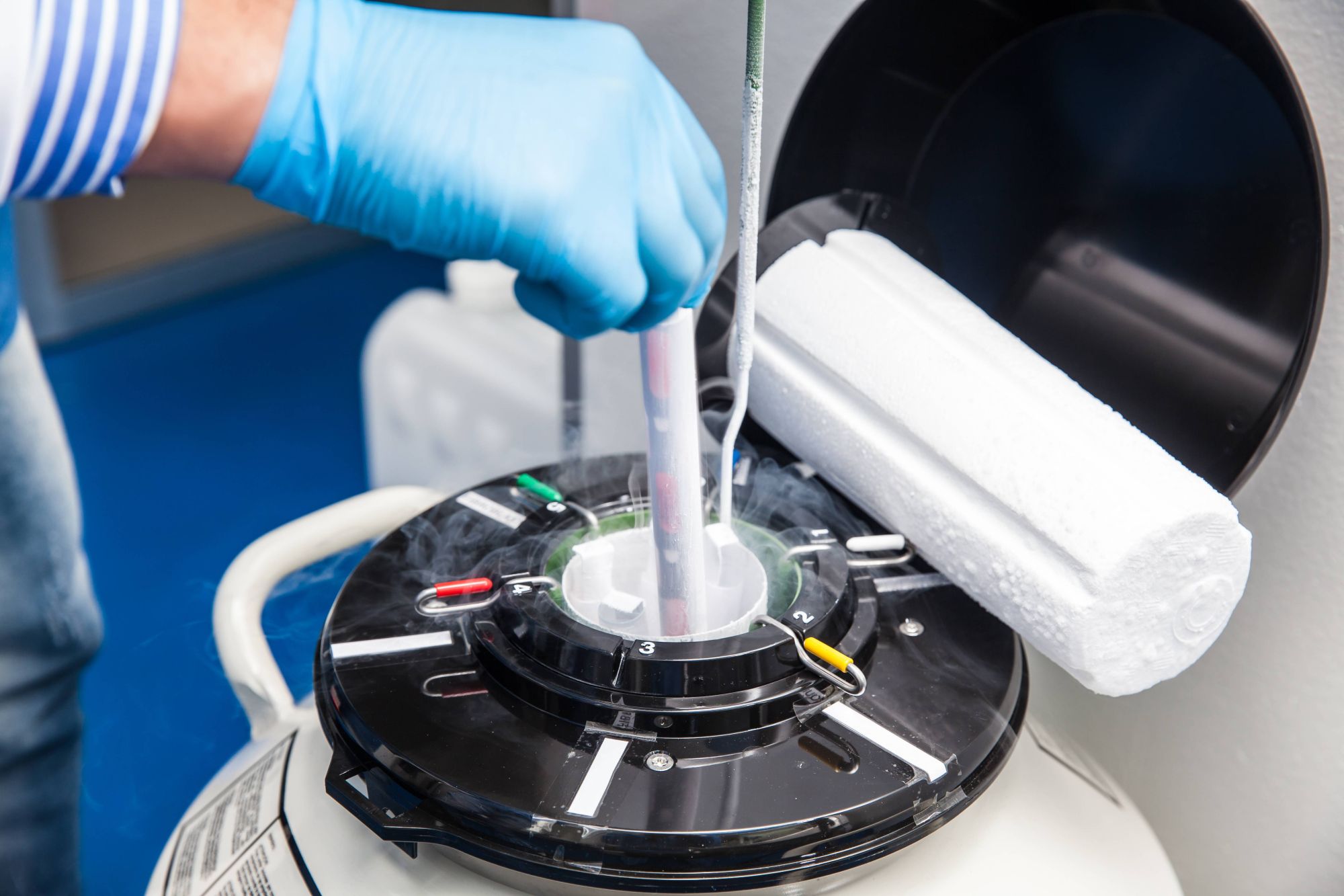 Testo - IVF Australia