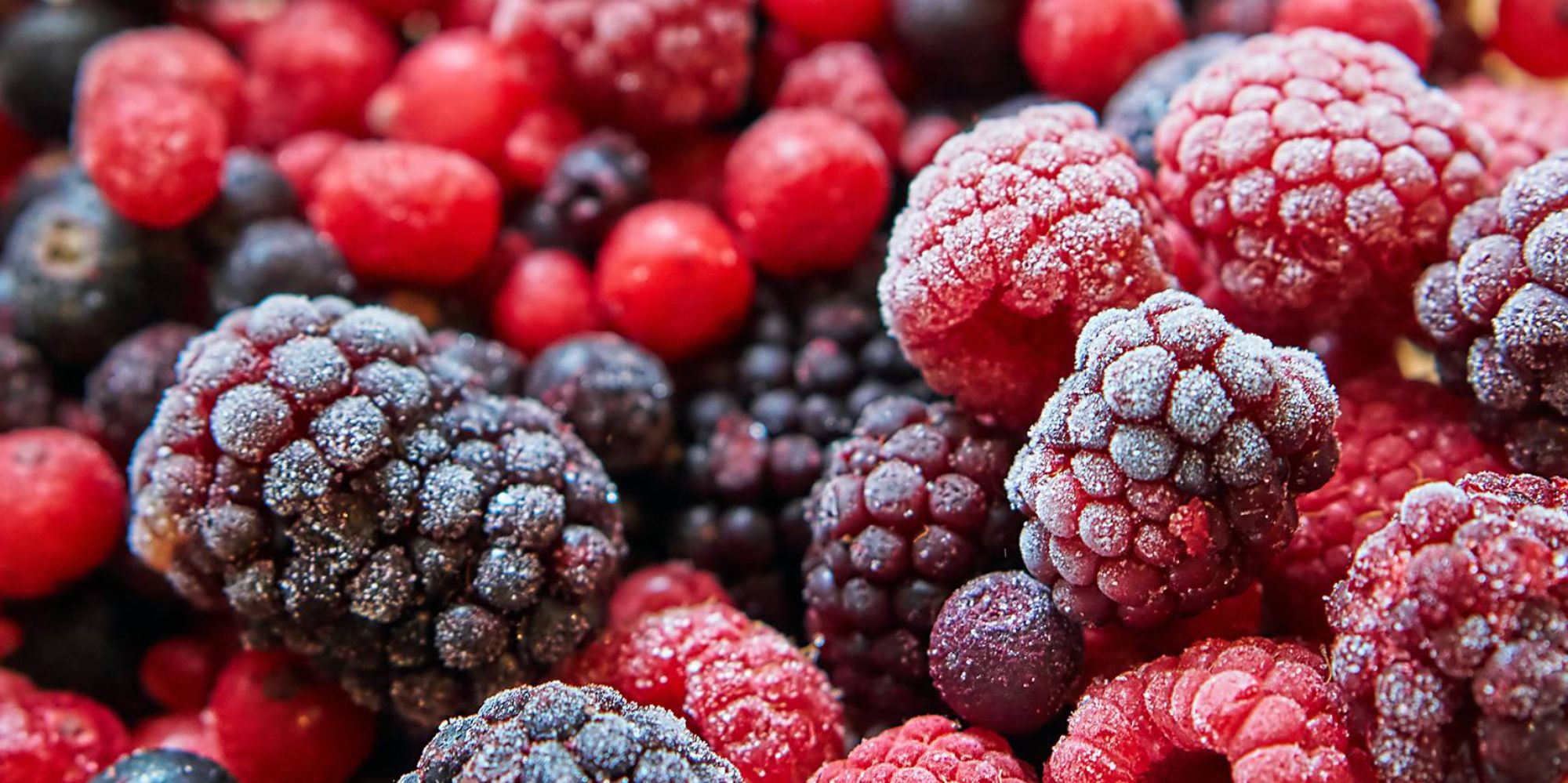 Testo-News-2020-Q1-March-Food-FrozenFood-header-1701x850.jpg