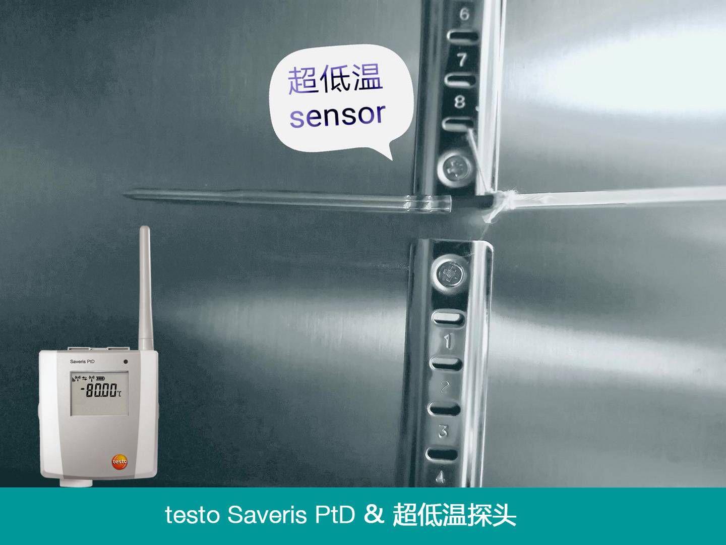 testo Saveris PtD & 超低温探头