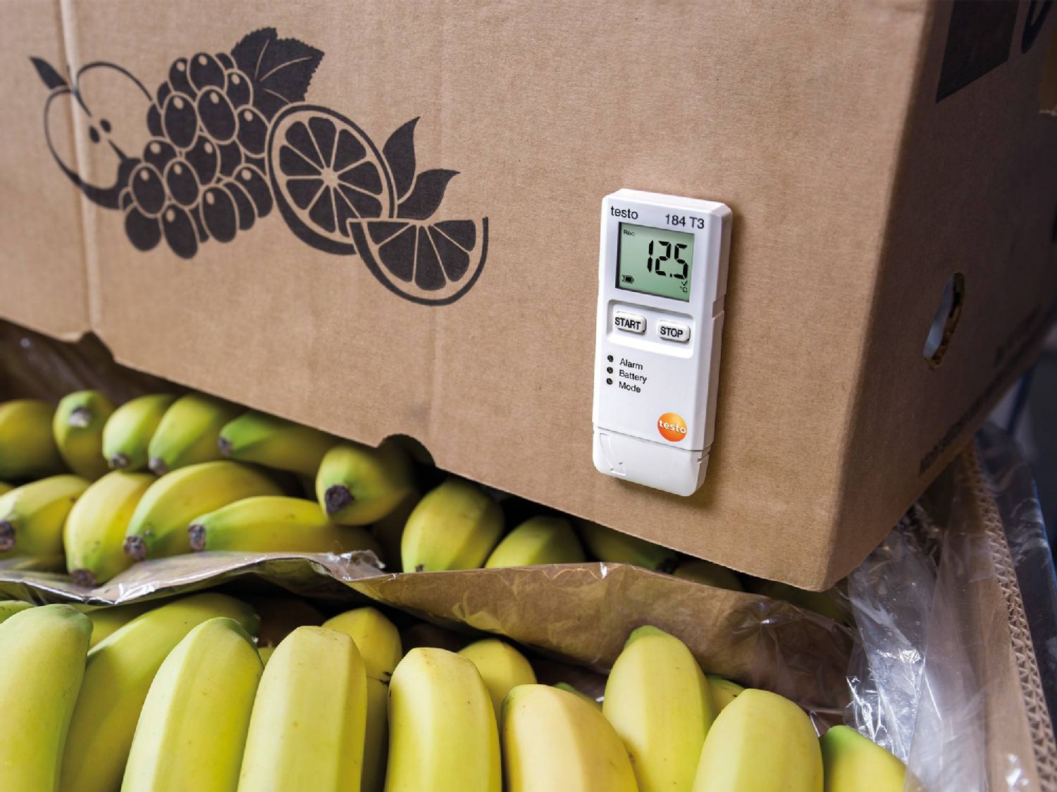 Temperature data loggers for transport