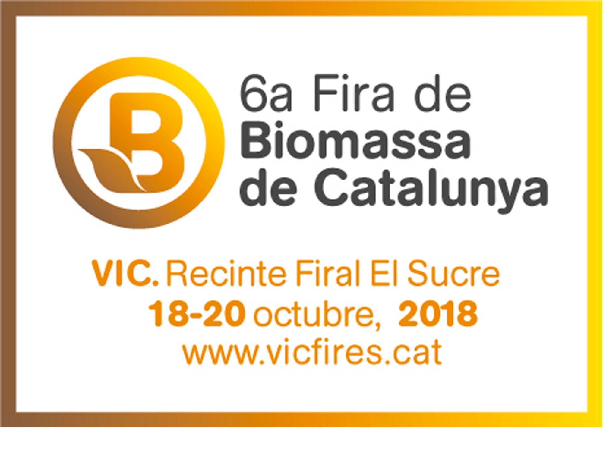 Testo en la 6a Fira de Biomassa