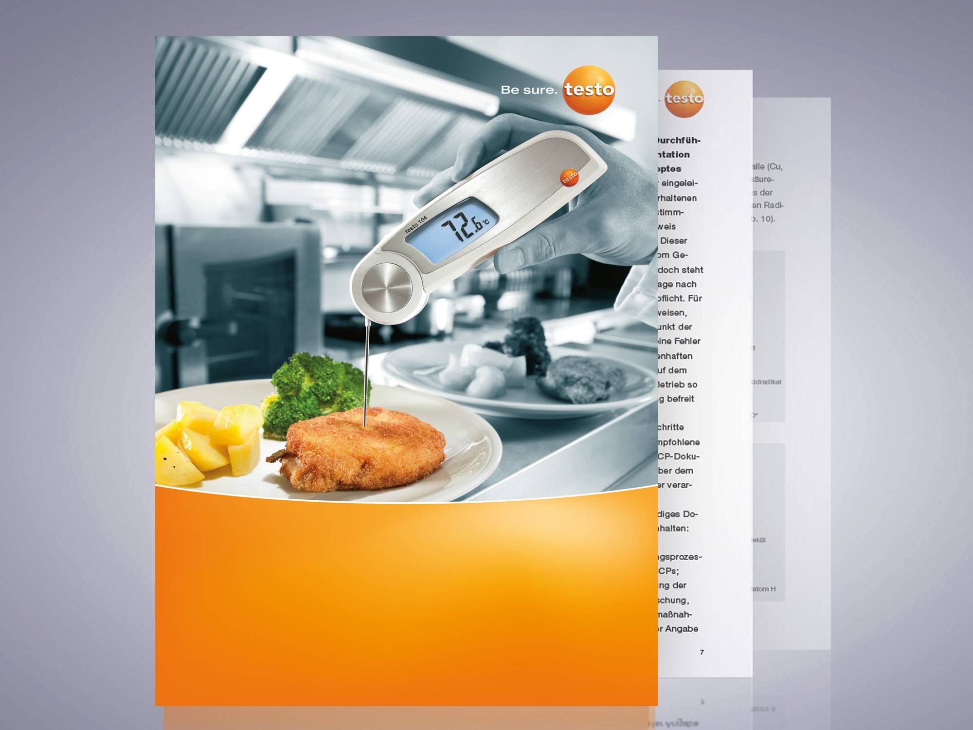 Garantia de qualidade alimentar e aderência às normas do HACCP em gastronomia.